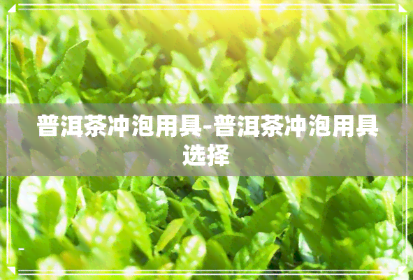 普洱茶冲泡用具-普洱茶冲泡用具选择