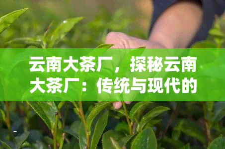 云南大茶厂，探秘云南大茶厂：传统与现代的完美融合