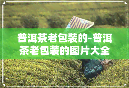 普洱茶老包装的-普洱茶老包装的图片大全