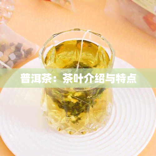 普洱茶：茶叶介绍与特点