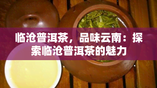 临沧普洱茶，品味云南：探索临沧普洱茶的魅力