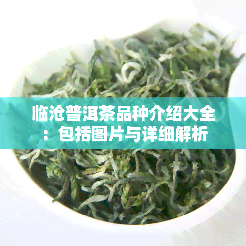 临沧普洱茶品种介绍大全：包括图片与详细解析