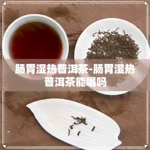 肠胃湿热普洱茶-肠胃湿热普洱茶能喝吗