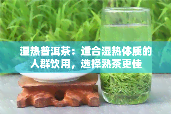 湿热普洱茶：适合湿热体质的人群饮用，选择熟茶更佳