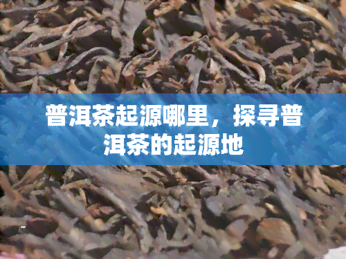 普洱茶起源哪里，探寻普洱茶的起源地