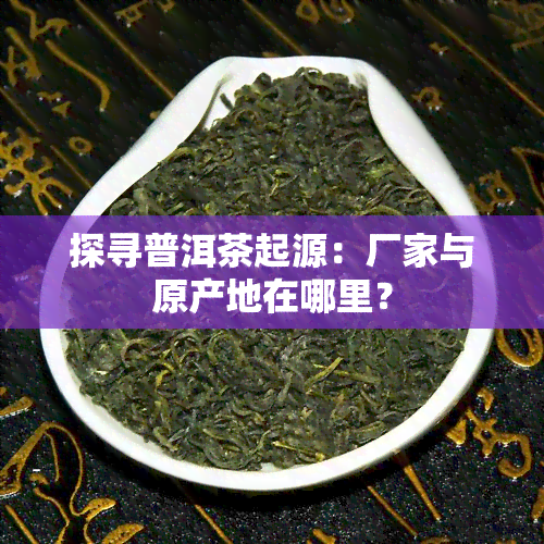 探寻普洱茶起源：厂家与原产地在哪里？