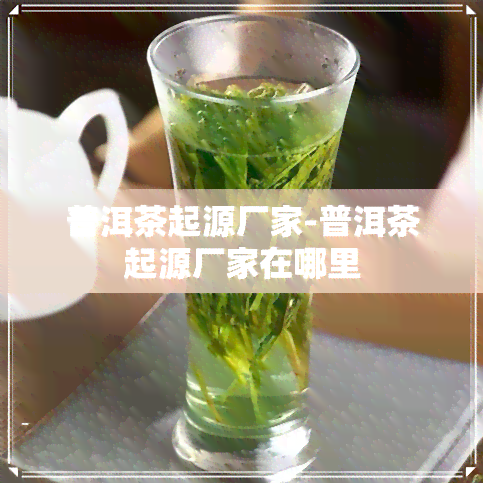 普洱茶起源厂家-普洱茶起源厂家在哪里