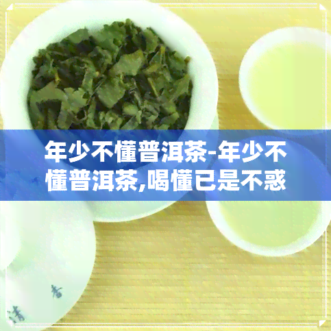 年少不懂普洱茶-年少不懂普洱茶,喝懂已是不惑年