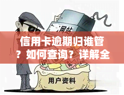 信用卡逾期归谁管？如何查询？详解全攻略