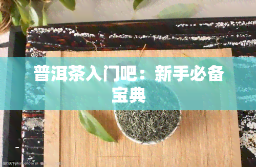 普洱茶入门吧：新手必备宝典