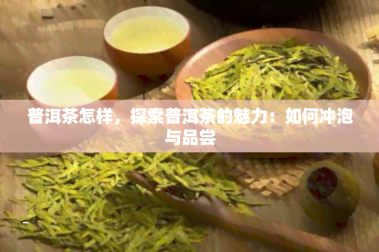 普洱茶怎样，探索普洱茶的魅力：如何冲泡与品尝