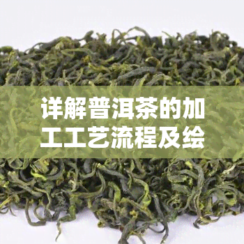 详解普洱茶的加工工艺流程及绘制流程图方法