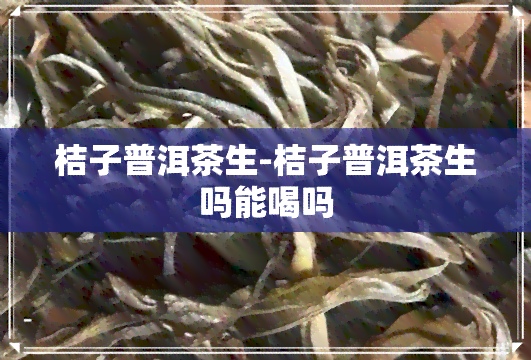 桔子普洱茶生-桔子普洱茶生吗能喝吗