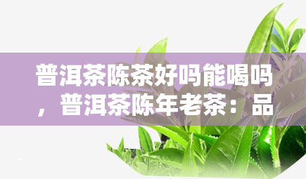 普洱茶陈茶好吗能喝吗，普洱茶陈年老茶：品质与口感的双重考验