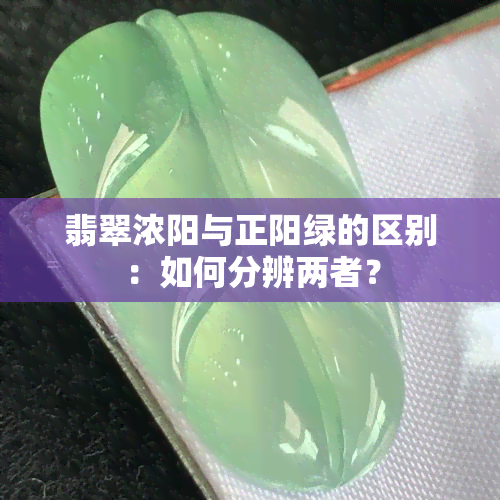 翡翠浓阳与正阳绿的区别：如何分辨两者？