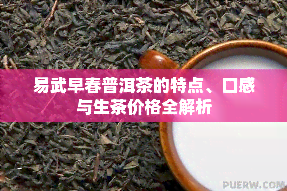 易武早春普洱茶的特点、口感与生茶价格全解析