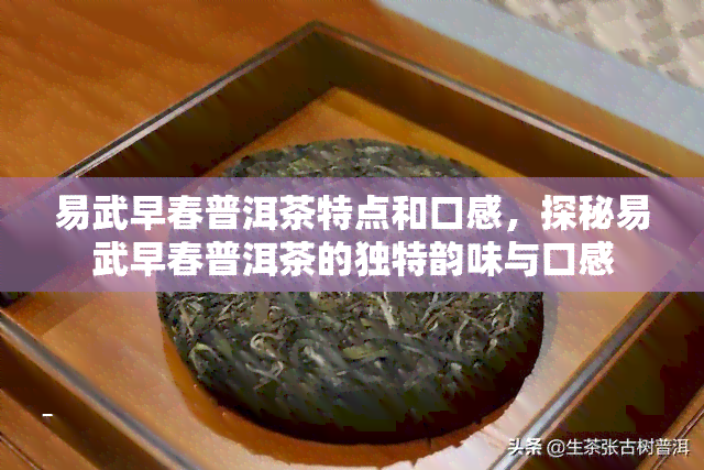 易武早春普洱茶特点和口感，探秘易武早春普洱茶的独特韵味与口感