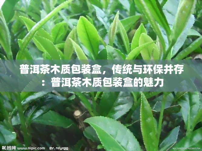 普洱茶木质包装盒，传统与环保并存：普洱茶木质包装盒的魅力