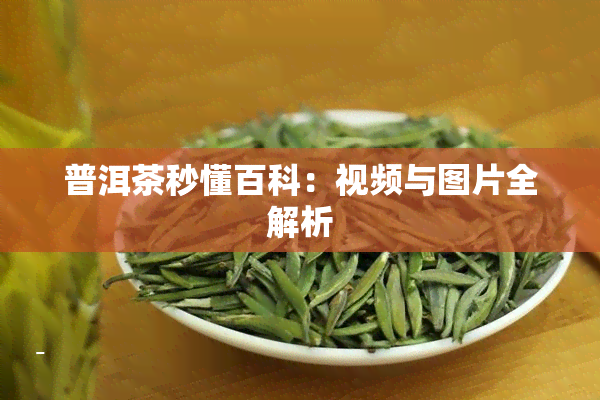 普洱茶秒懂百科：视频与图片全解析