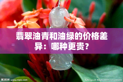 翡翠油青和油绿的价格差异：哪种更贵？