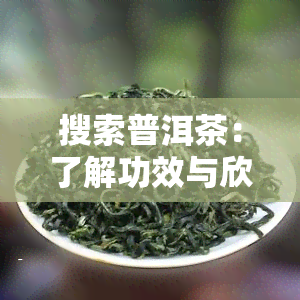 搜索普洱茶：了解功效与欣图片大全