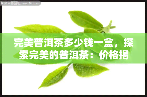 完美普洱茶多少钱一盒，探索完美的普洱茶：价格揭秘！