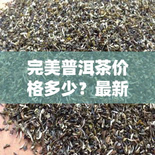 完美普洱茶价格多少？最新市场行情一文了解！