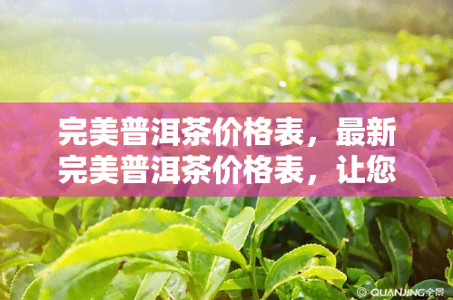 完美普洱茶价格表，最新完美普洱茶价格表，让您轻松了解市场价格