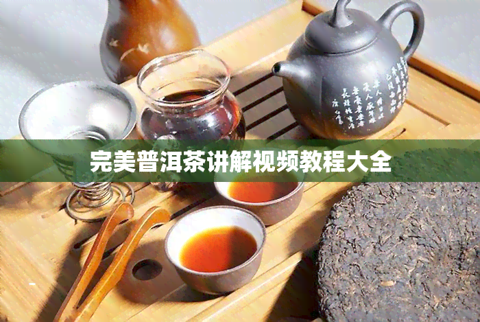 完美普洱茶讲解视频教程大全