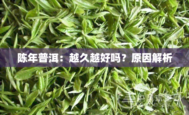 陈年普洱：越久越好吗？原因解析