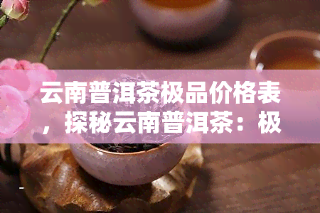 云南普洱茶极品价格表，探秘云南普洱茶：极品价格一览表