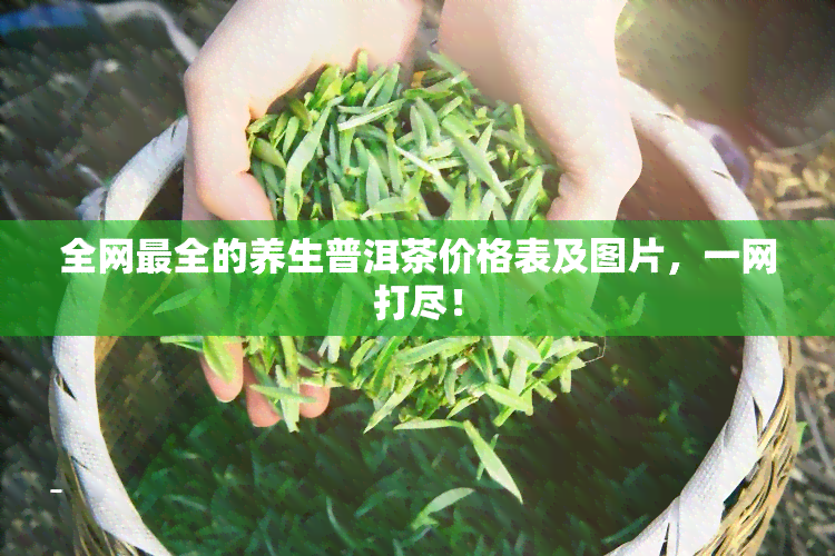 全网最全的养生普洱茶价格表及图片，一网打尽！