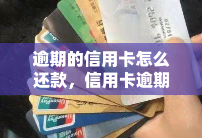 逾期的信用卡怎么还款，信用卡逾期后，如何及时还款？