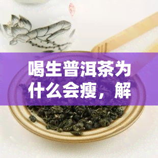 喝生普洱茶为什么会瘦，解密喝生普洱茶为何能减肥：科学原理与实践方法