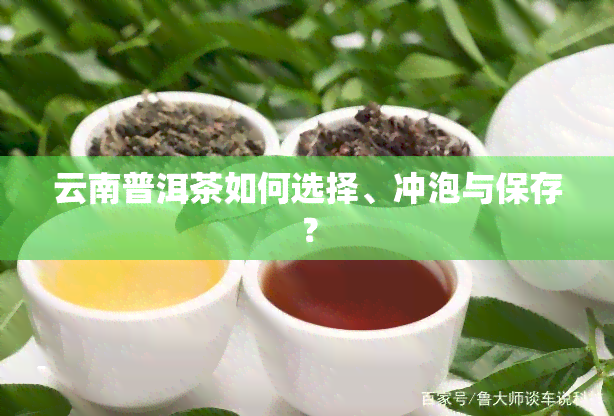 云南普洱茶如何选择、冲泡与保存？