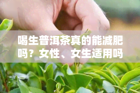 喝生普洱茶真的能减肥吗？女性、女生适用吗？