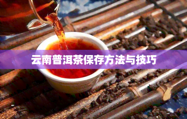 云南普洱茶保存方法与技巧