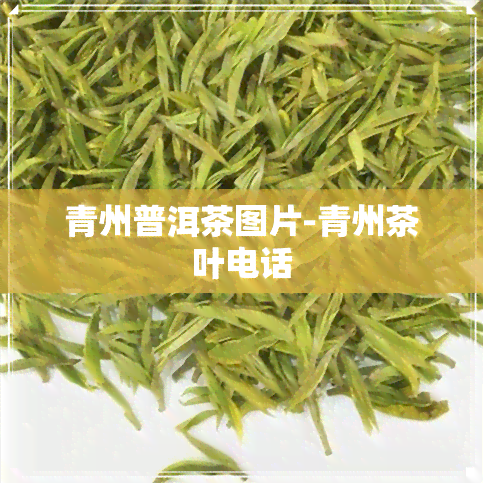 青州普洱茶图片-青州茶叶电话