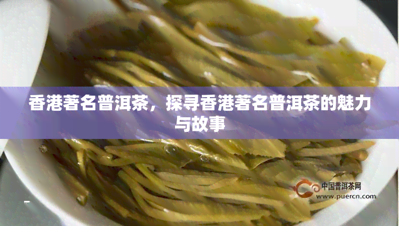 著名普洱茶，探寻著名普洱茶的魅力与故事