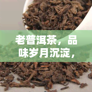 老普洱茶，品味岁月沉淀，探寻老普洱茶的魅力与故事