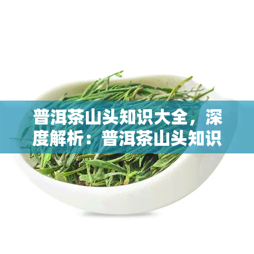 普洱茶山头知识大全，深度解析：普洱茶山头知识大全，带你领略云南茶叶的独特魅力！