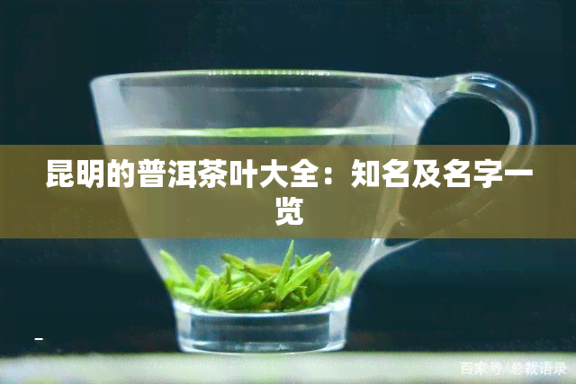 昆明的普洱茶叶大全：知名及名字一览