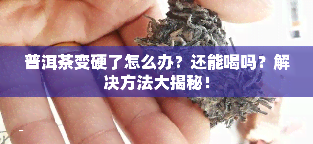 普洱茶变硬了怎么办？还能喝吗？解决方法大揭秘！