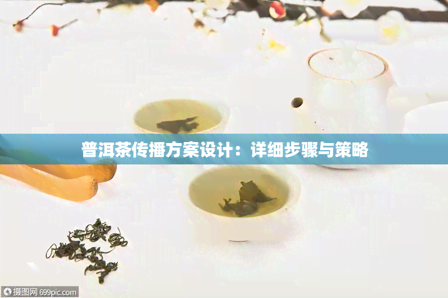 普洱茶传播方案设计：详细步骤与策略