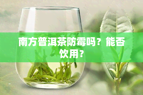 南方普洱茶防霉吗？能否饮用？