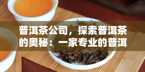 普洱茶公司，探索普洱茶的奥秘：一家专业的普洱茶公司的故事