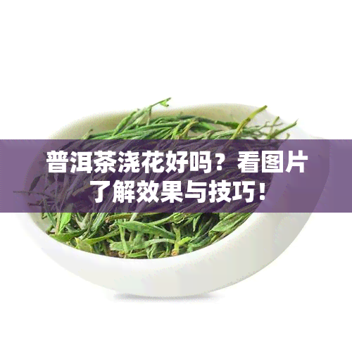 普洱茶浇花好吗？看图片了解效果与技巧！