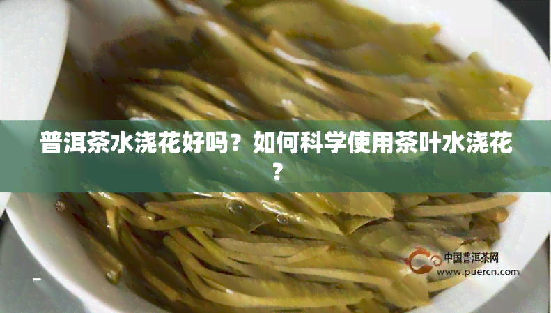 普洱茶水浇花好吗？如何科学使用茶叶水浇花？