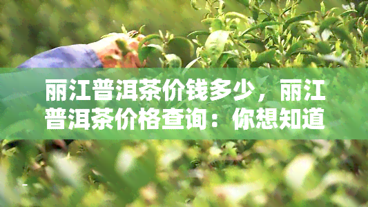 丽江普洱茶价钱多少，丽江普洱茶价格查询：你想知道的都在这里！