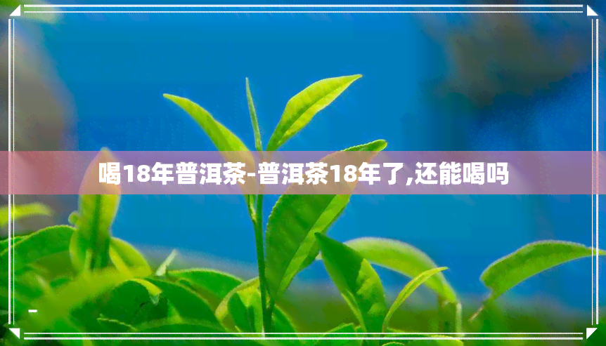 喝18年普洱茶-普洱茶18年了,还能喝吗